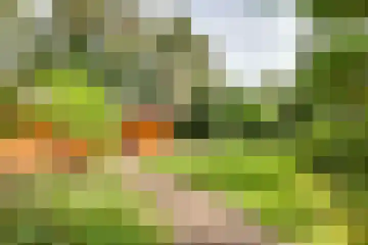 Ploegdijk 2 H 330a Lochem thumbnail 28