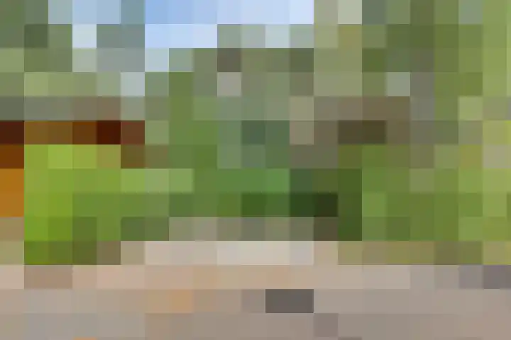 Ploegdijk 2 H 330a Lochem thumbnail 29