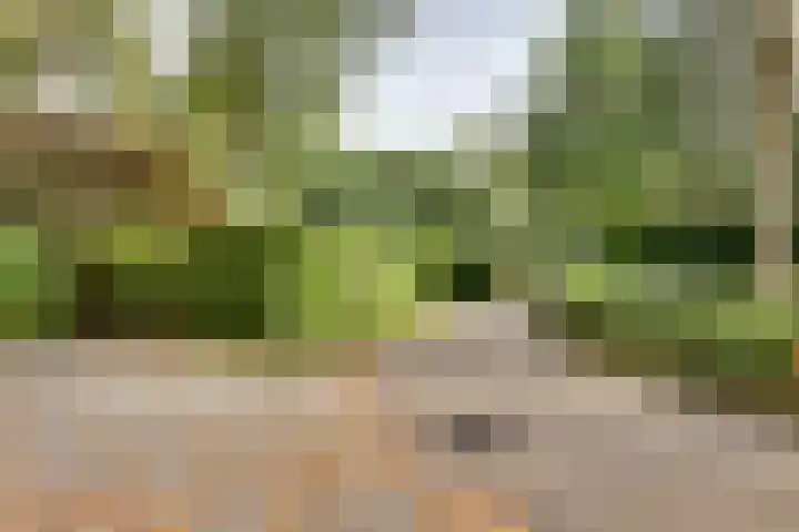 Ploegdijk 2 H 330a Lochem thumbnail 30
