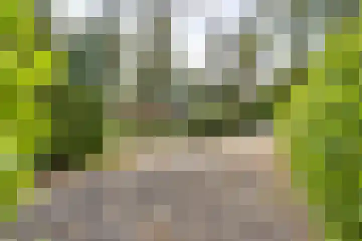 Ploegdijk 2 H 330a Lochem thumbnail 31