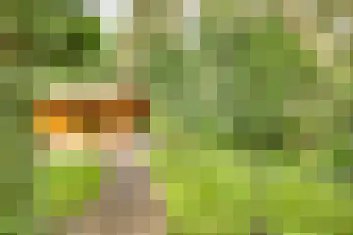 Ploegdijk 2 H 330a Lochem thumbnail 4