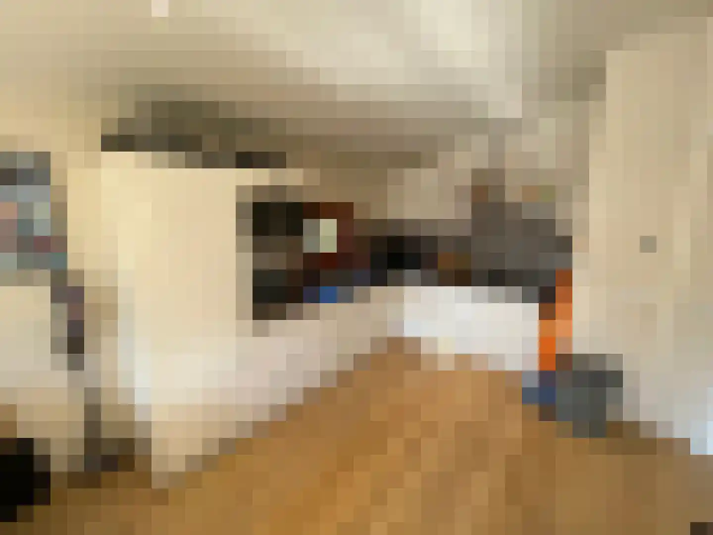 Ploegdijk 2 H 600a Lochem thumbnail 4