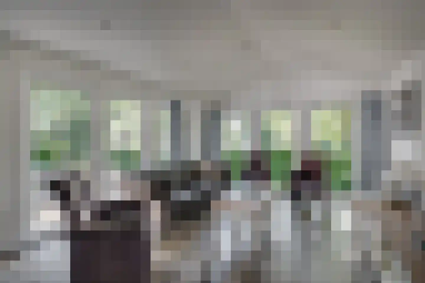 Ploegdijk 2 H11 Lochem thumbnail 10