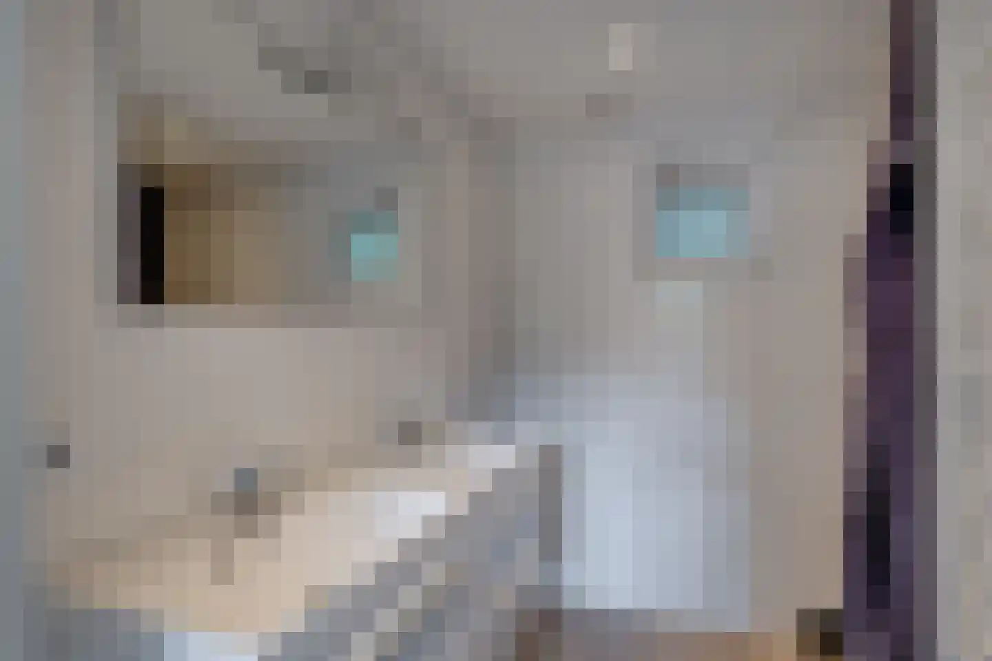 Ploegdijk 2 H11 Lochem thumbnail 22