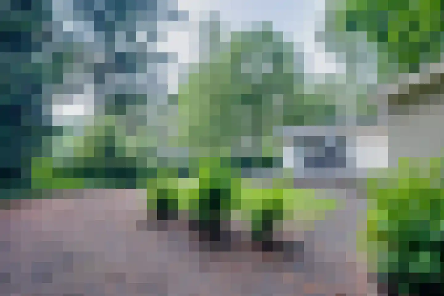 Ploegdijk 2 H11 Lochem thumbnail 41