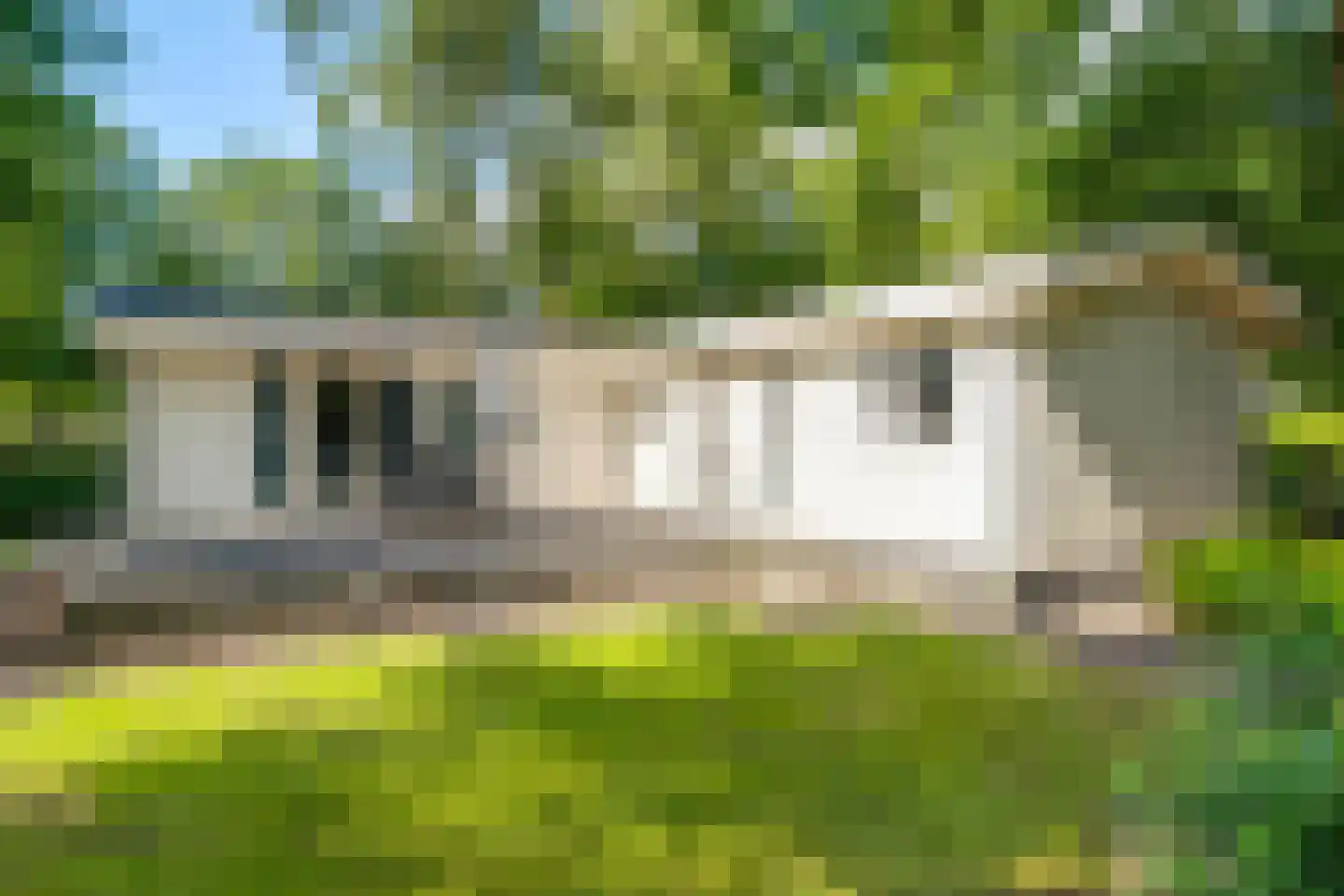 Ploegdijk 2 H11 Lochem thumbnail 6