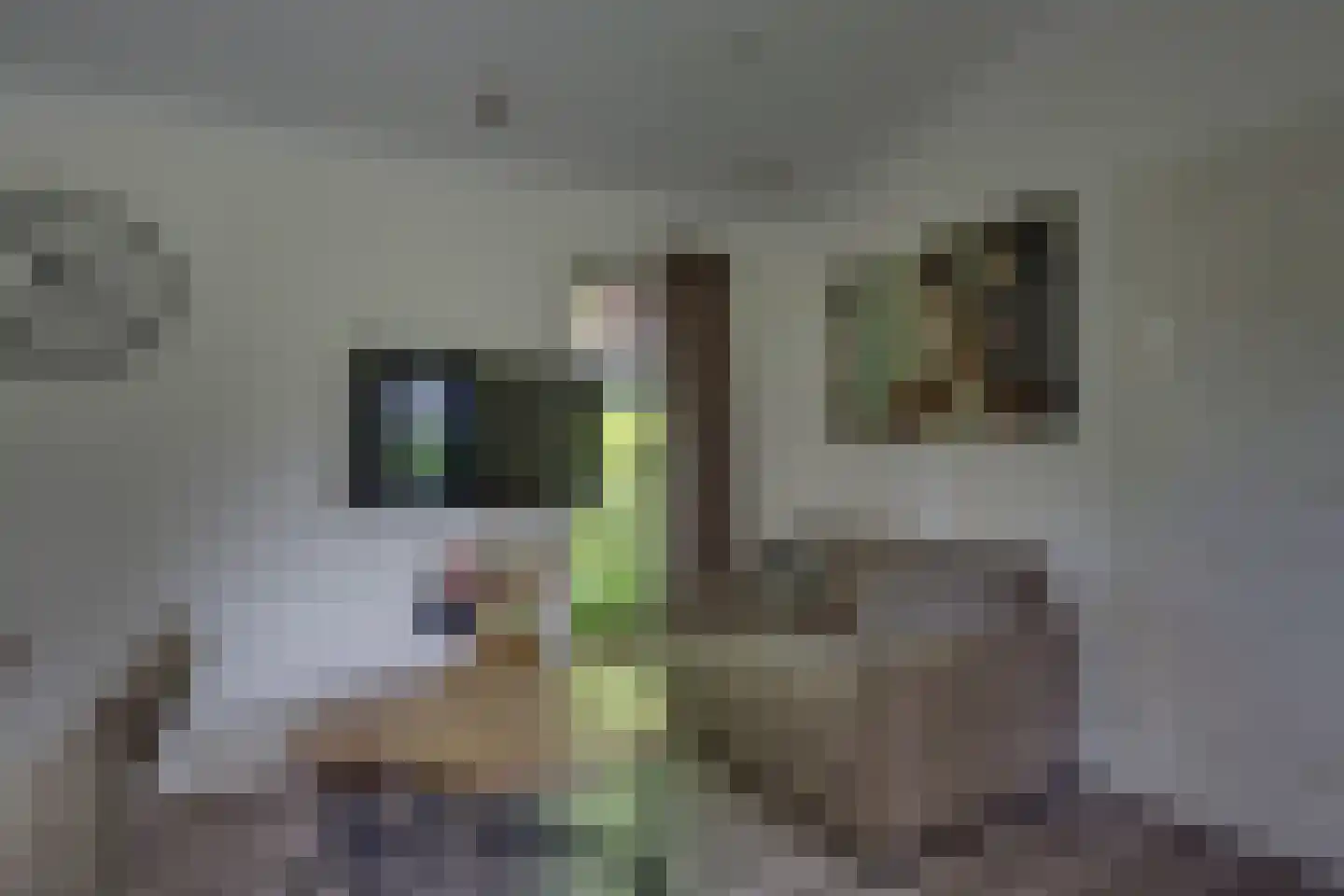 Ploegdijk 2 H135 Lochem thumbnail 4