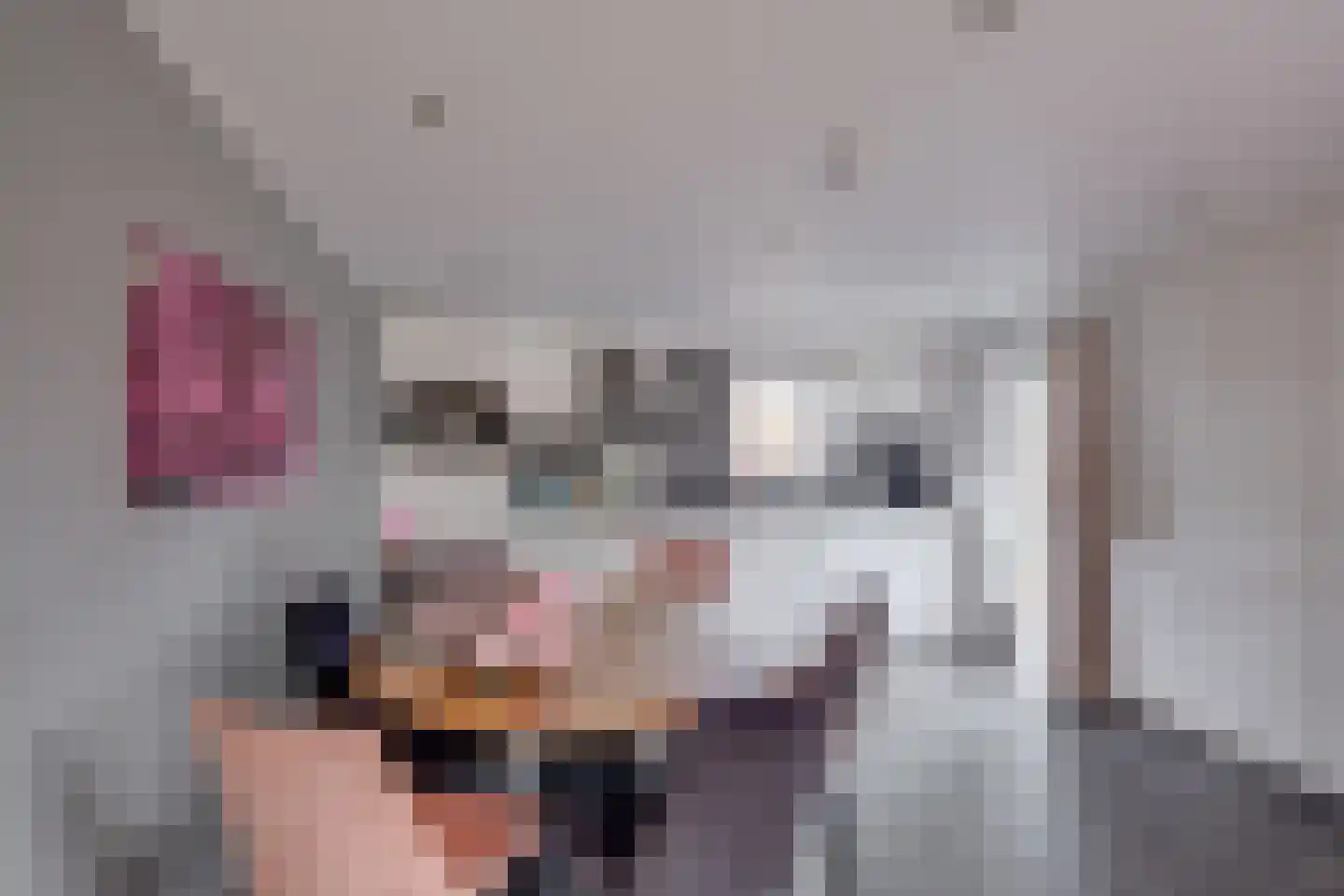 Ploegdijk 2 H142 Lochem thumbnail 12