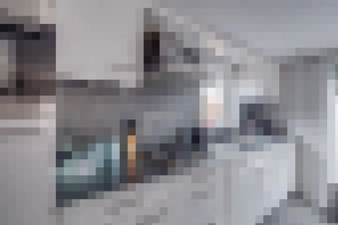 Ploegdijk 2 H142 Lochem thumbnail 18