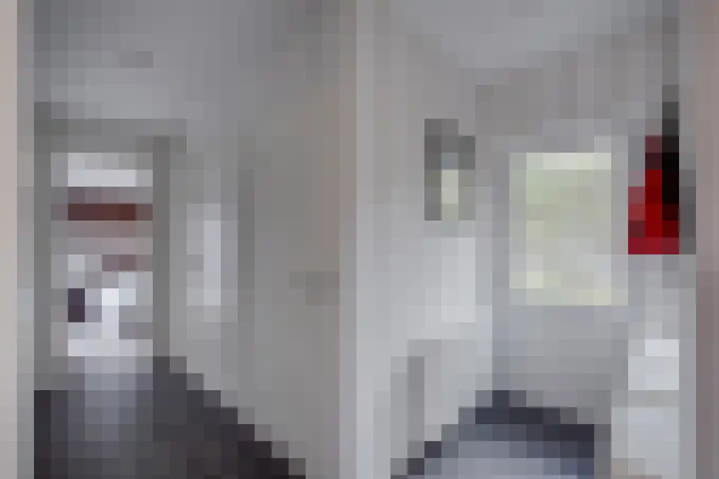 Ploegdijk 2 H142 Lochem thumbnail 20