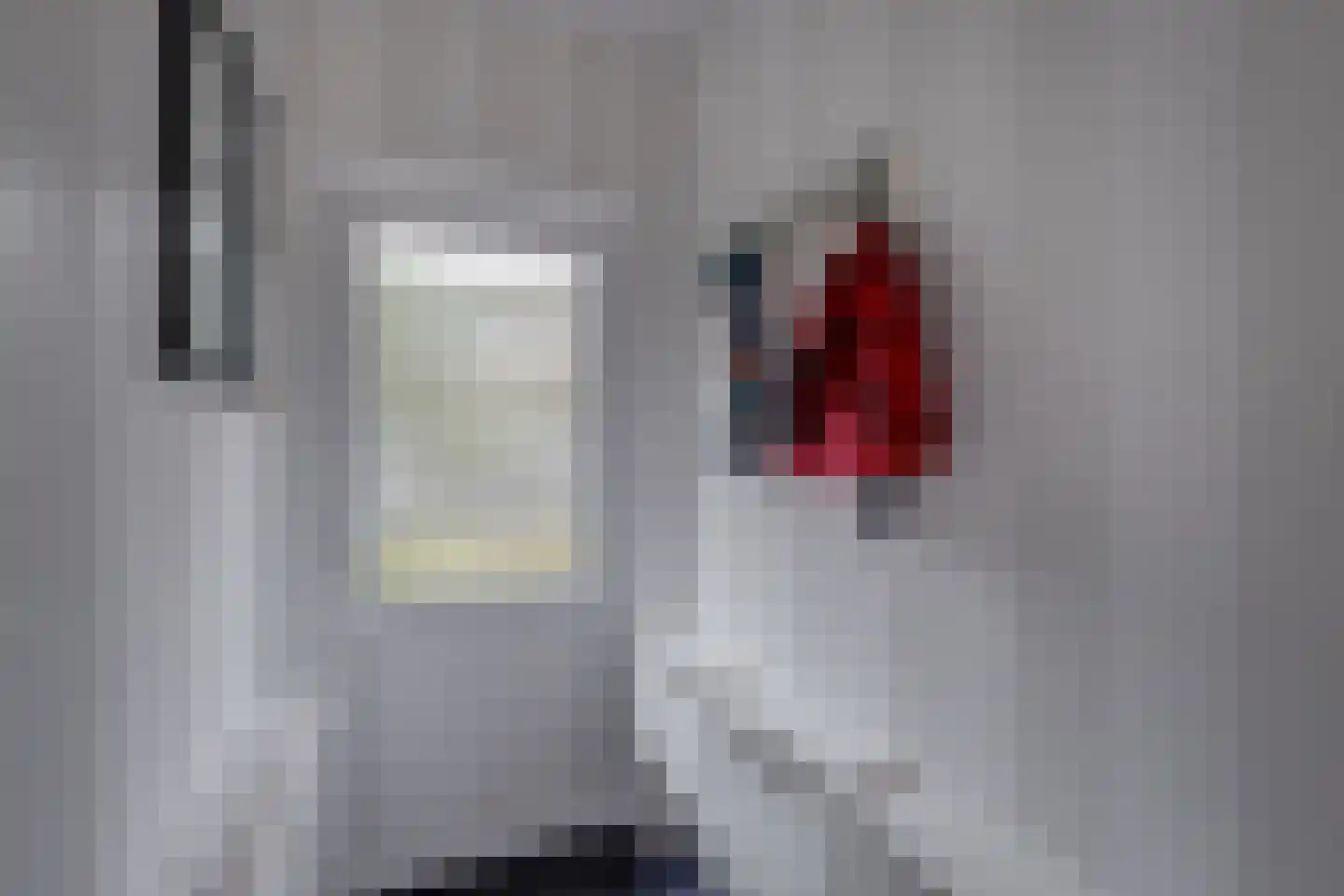 Ploegdijk 2 H142 Lochem thumbnail 21