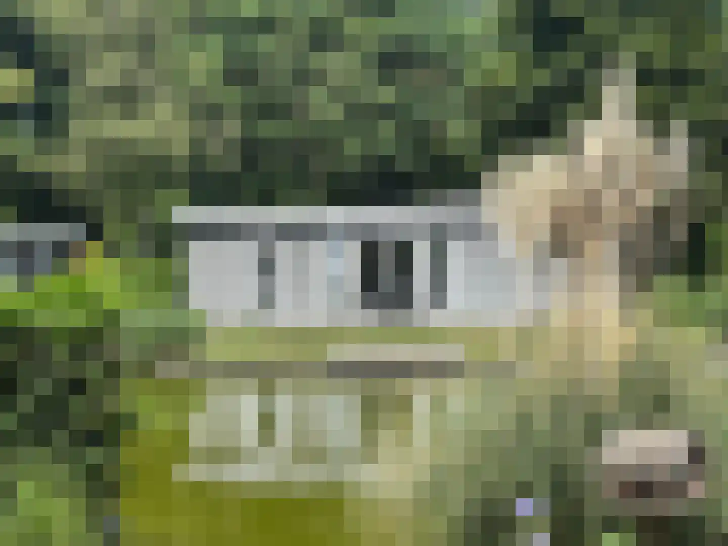 Ploegdijk 2 H169 Lochem thumbnail 4