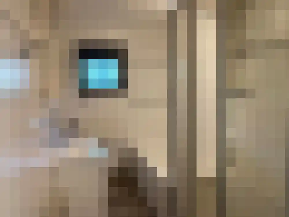 Ploegdijk 2 H228 Lochem thumbnail 13