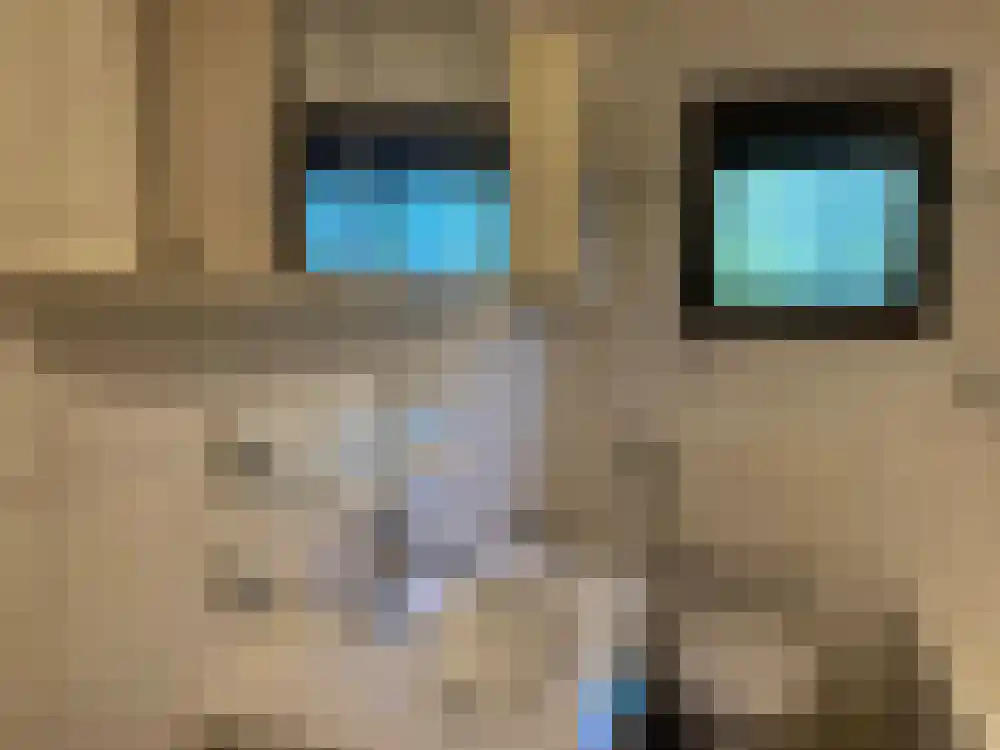 Ploegdijk 2 H228 Lochem thumbnail 14