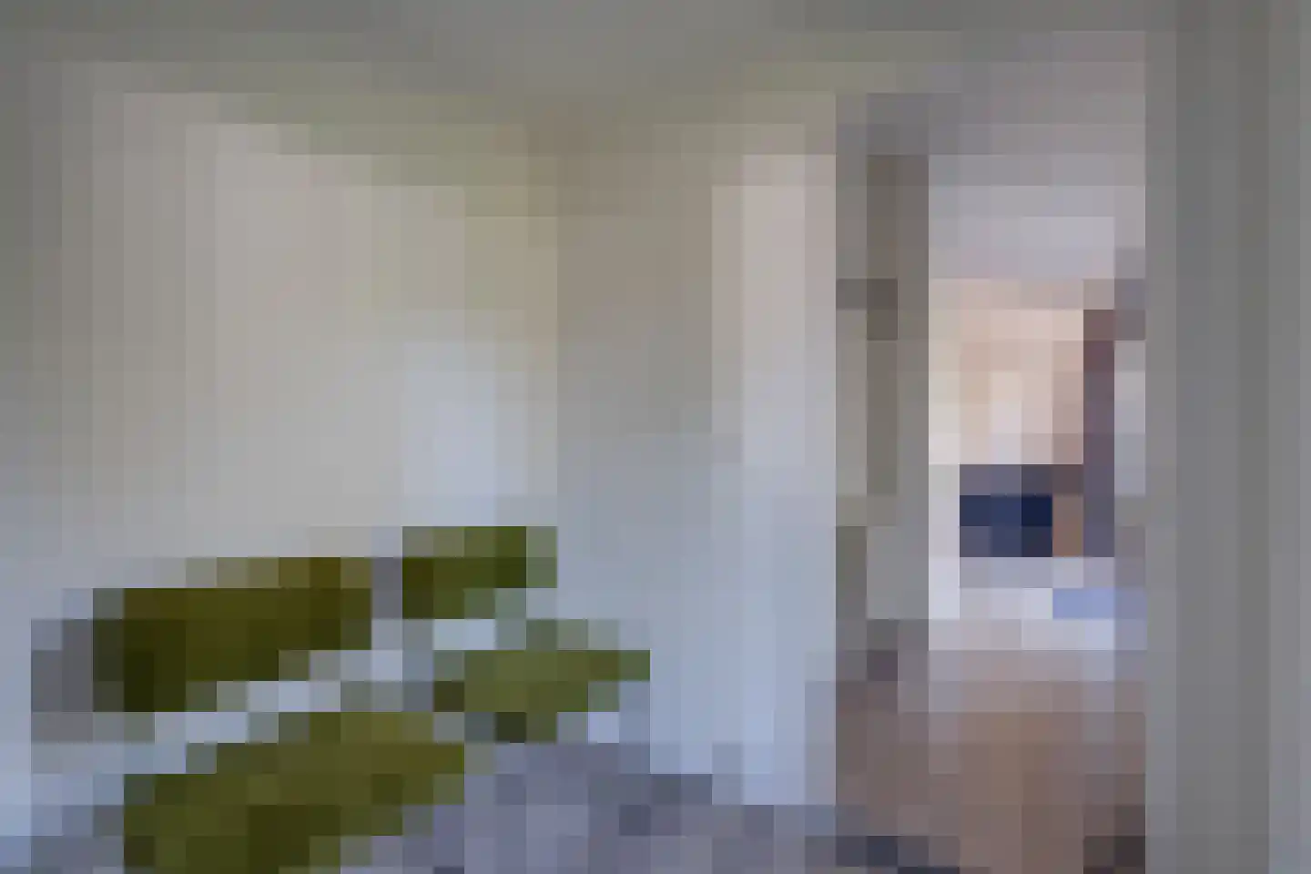Ploegdijk 2 H237 Lochem thumbnail 30