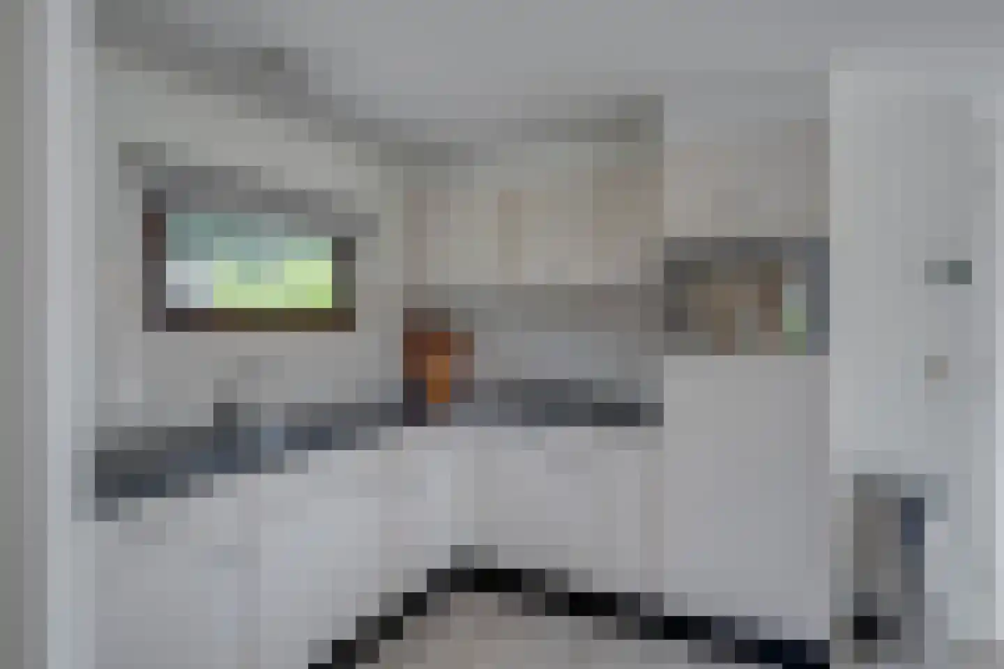 Ploegdijk 2 H259 Lochem thumbnail 17