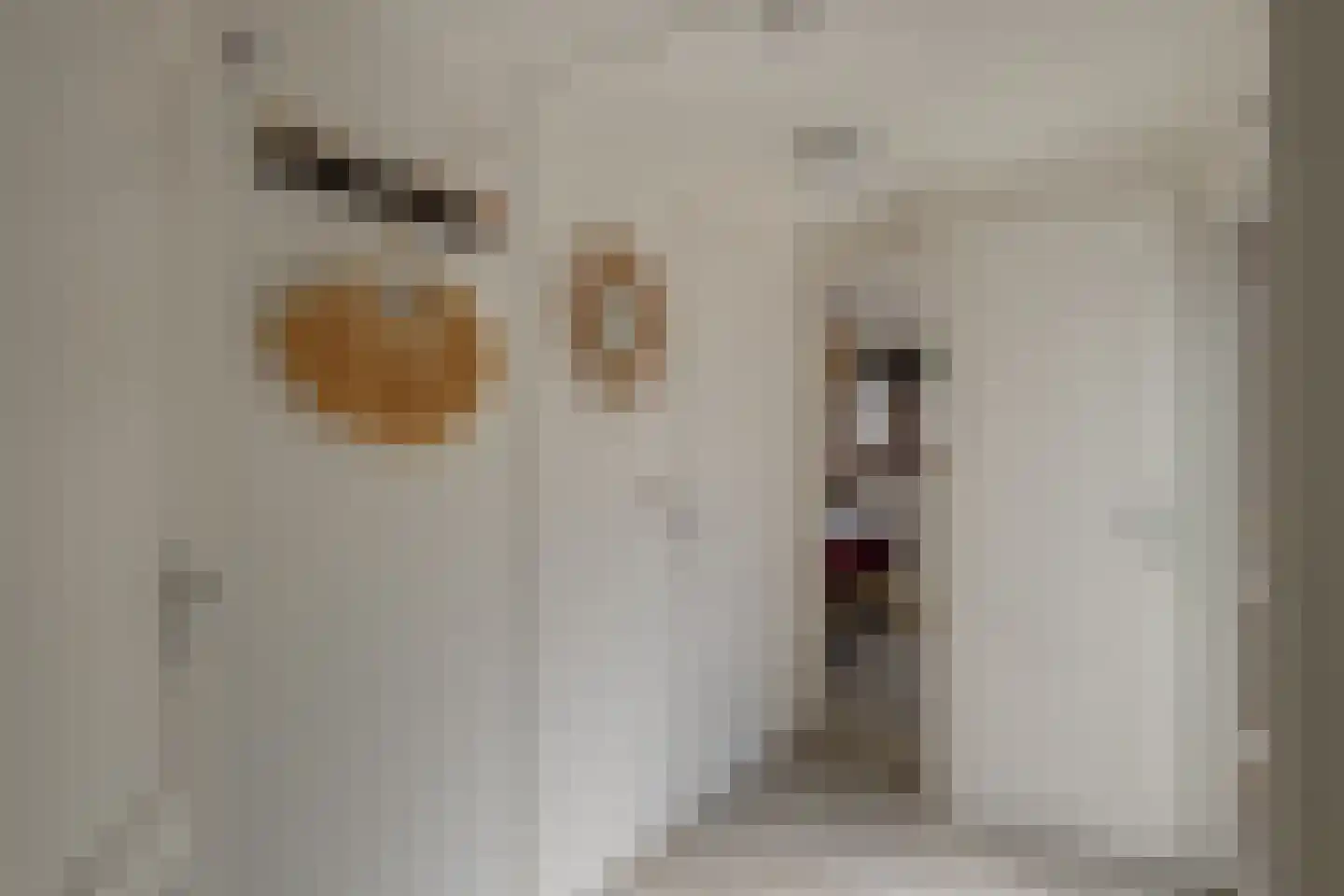 Ploegdijk 2 H259 Lochem thumbnail 18