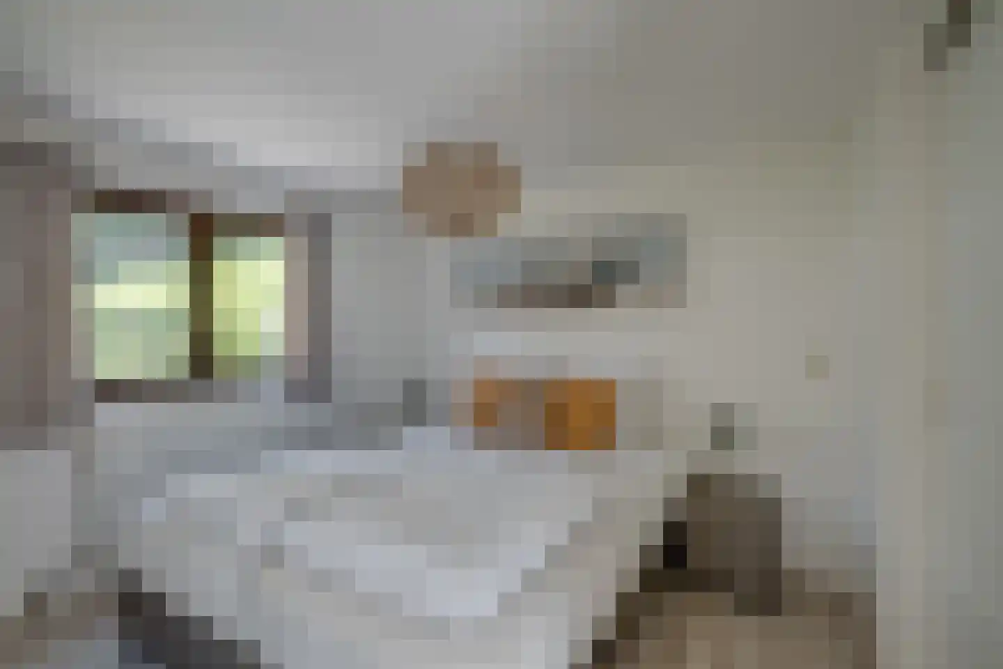 Ploegdijk 2 H259 Lochem thumbnail 19