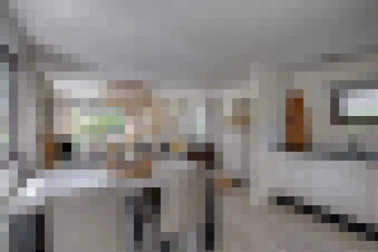 Ploegdijk 2 H259 Lochem thumbnail 22