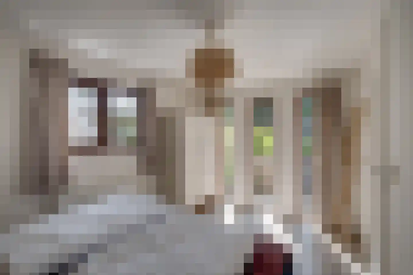 Ploegdijk 2 H259 Lochem thumbnail 29