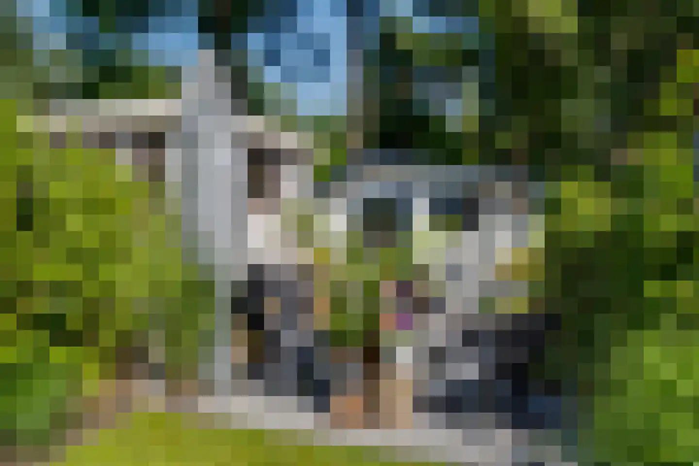 Ploegdijk 2 H259 Lochem thumbnail 39