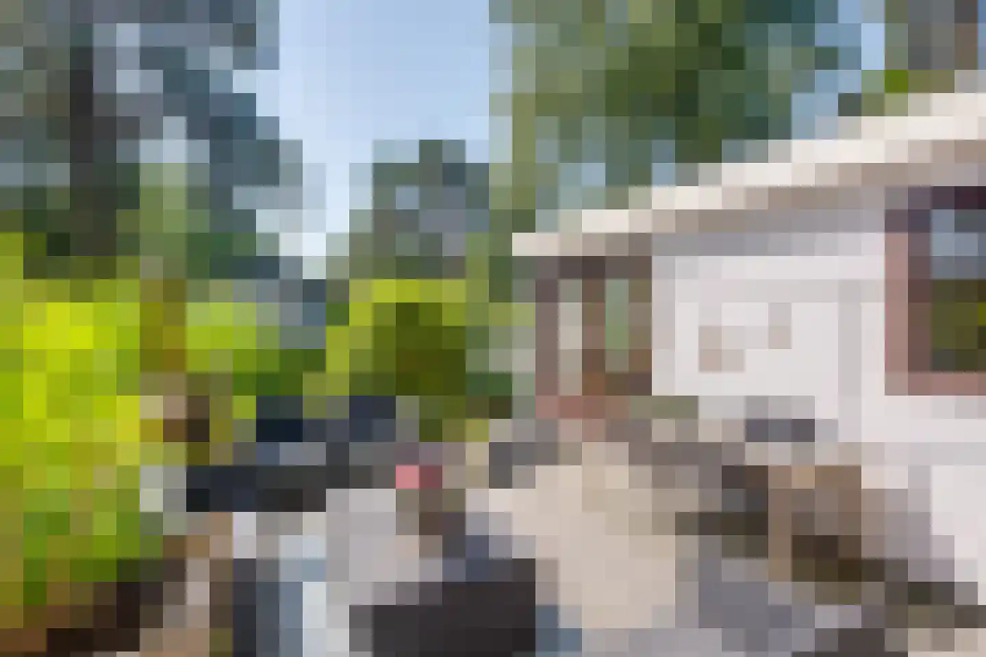 Ploegdijk 2 H259 Lochem thumbnail 44