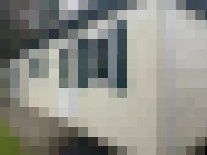 Ploegdijk 2 H272 Lochem thumbnail 20