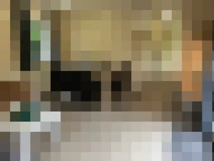 Ploegdijk 2 H272 Lochem thumbnail 5