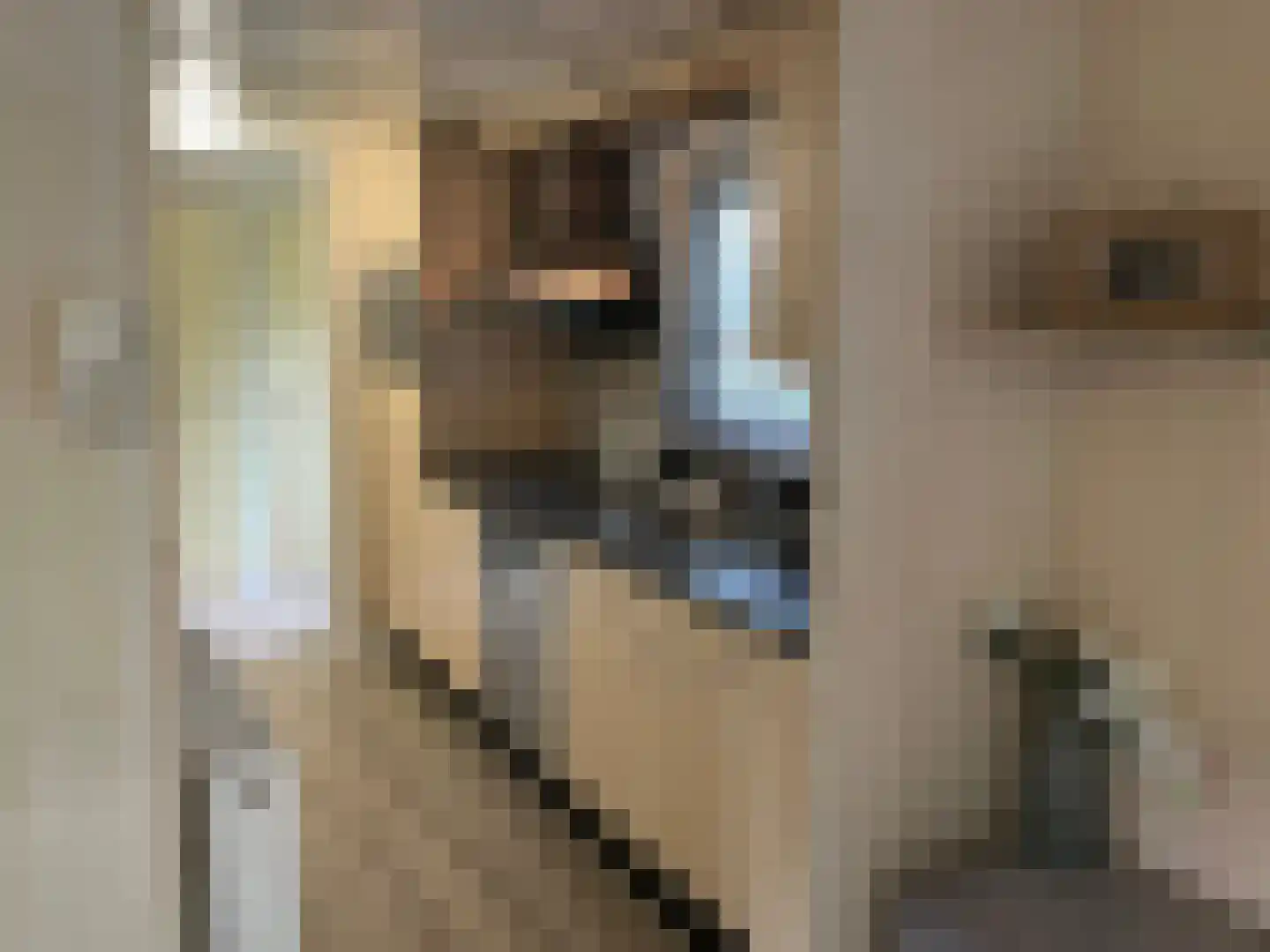 Ploegdijk 2 H272 Lochem thumbnail 6