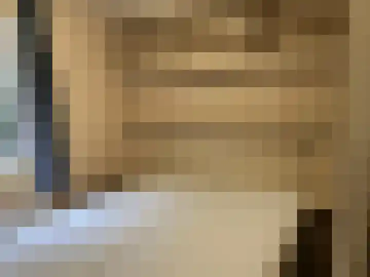 Ploegdijk 2 H272 Lochem thumbnail 9