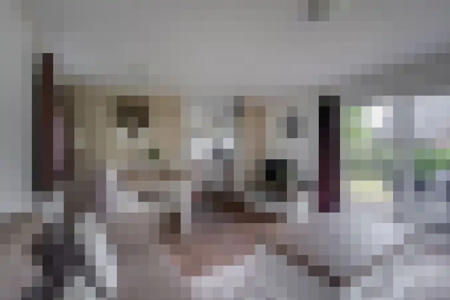Ploegdijk 2 H280 Lochem thumbnail 11
