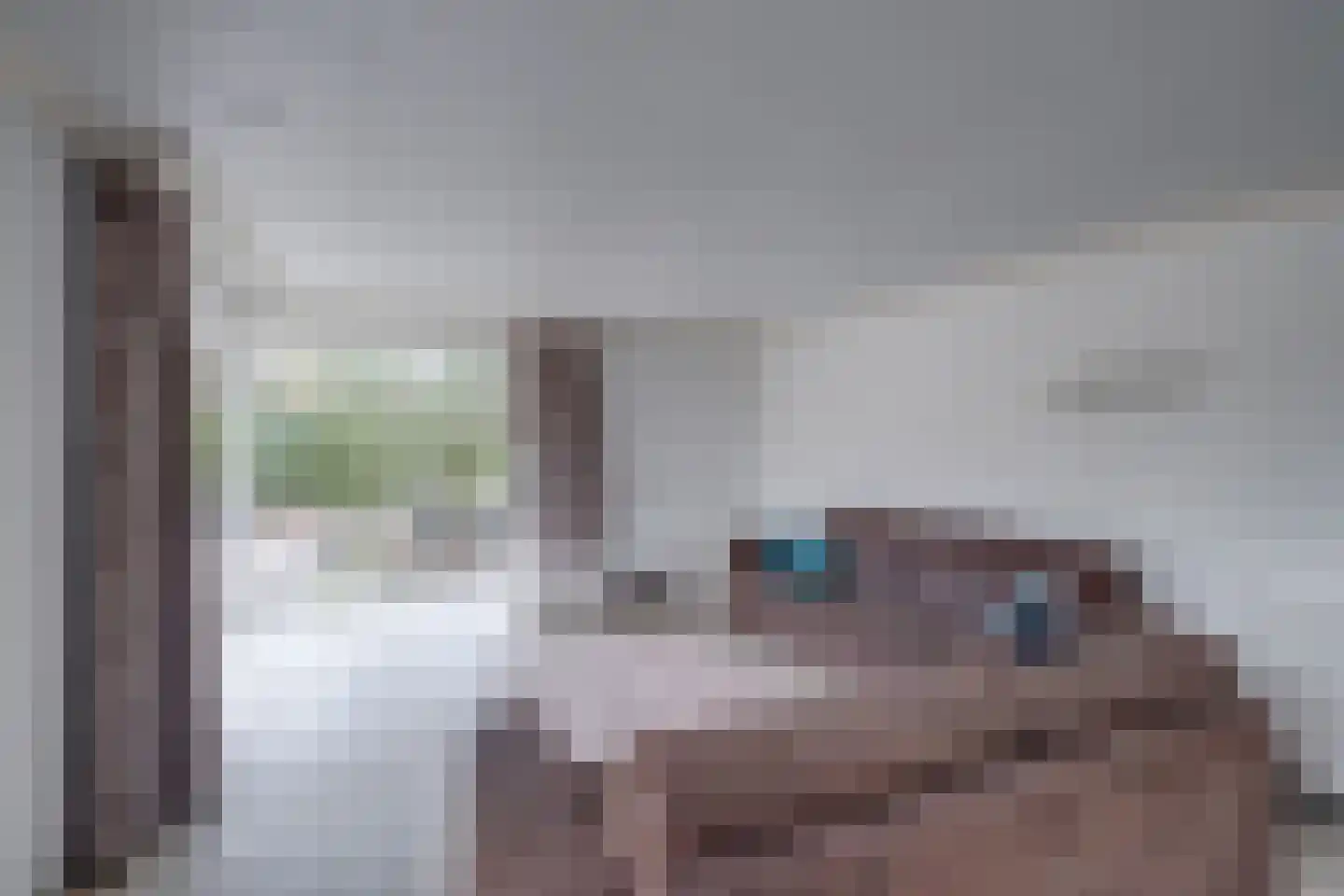 Ploegdijk 2 H280 Lochem thumbnail 11