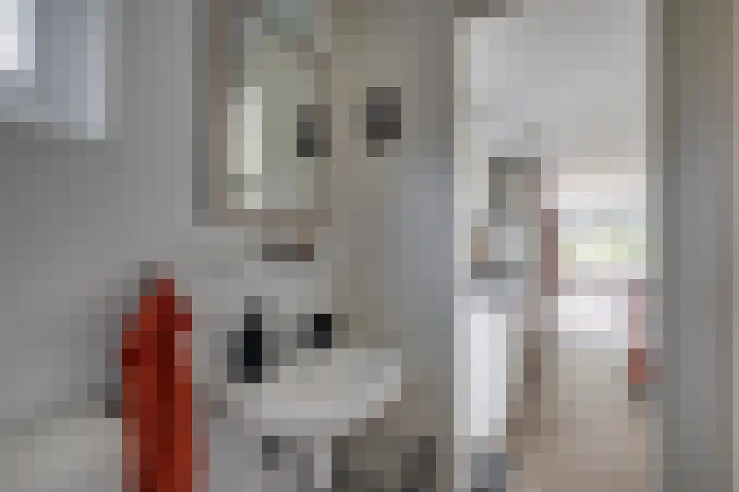 Ploegdijk 2 H280 Lochem thumbnail 24