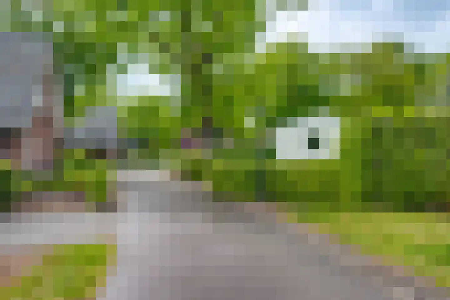 Ploegdijk 2 H280 Lochem thumbnail 36