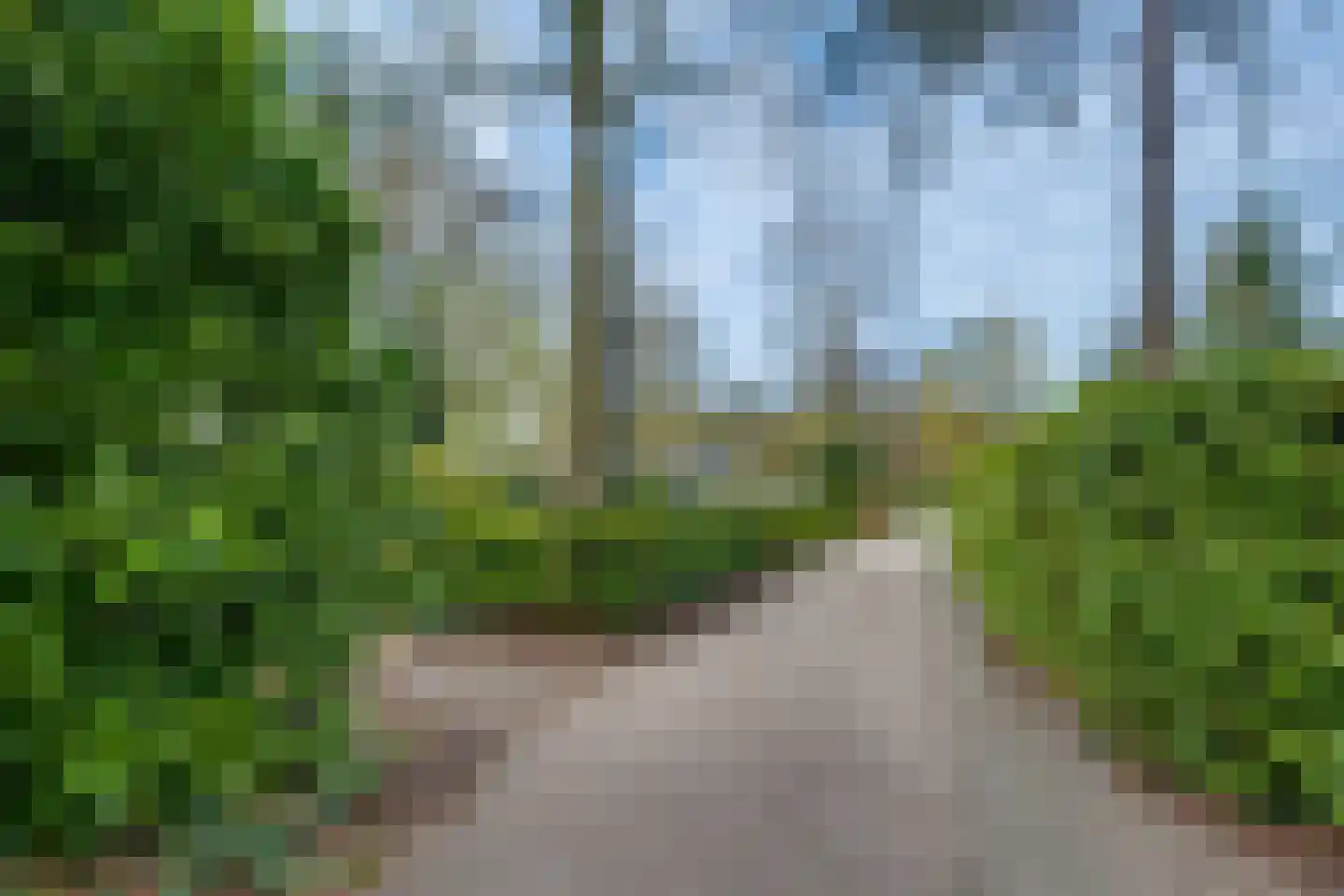 Ploegdijk 2 H280 Lochem thumbnail 37