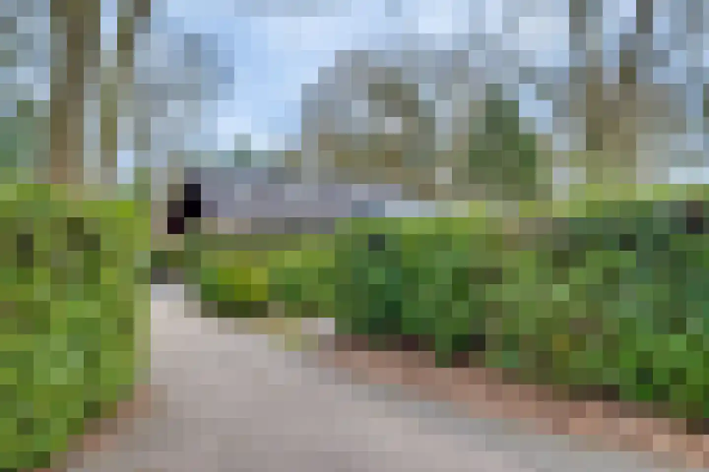 Ploegdijk 2 H280 Lochem thumbnail 38