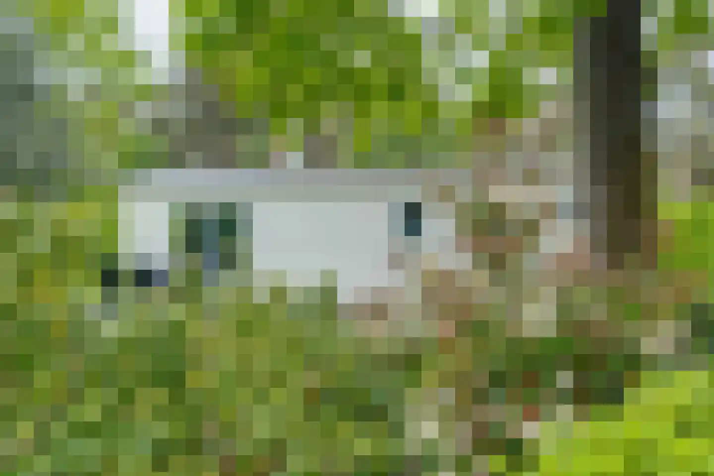 Ploegdijk 2 H280 Lochem thumbnail 4