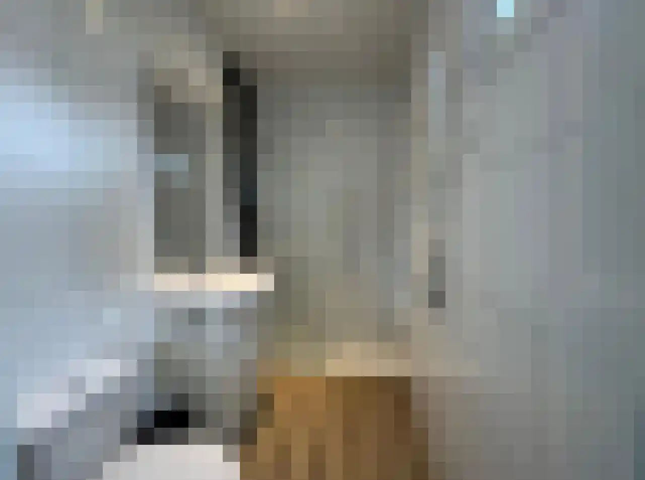 Ploegdijk 2 H280 Lochem thumbnail 8