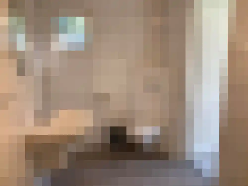 Ploegdijk 2 H326 Lochem thumbnail 12