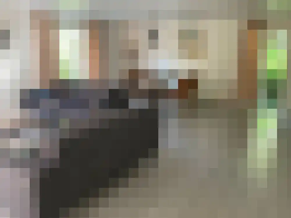 Ploegdijk 2 H326 Lochem thumbnail 4