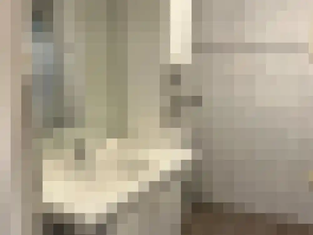 Ploegdijk 2 H347 Lochem thumbnail 10