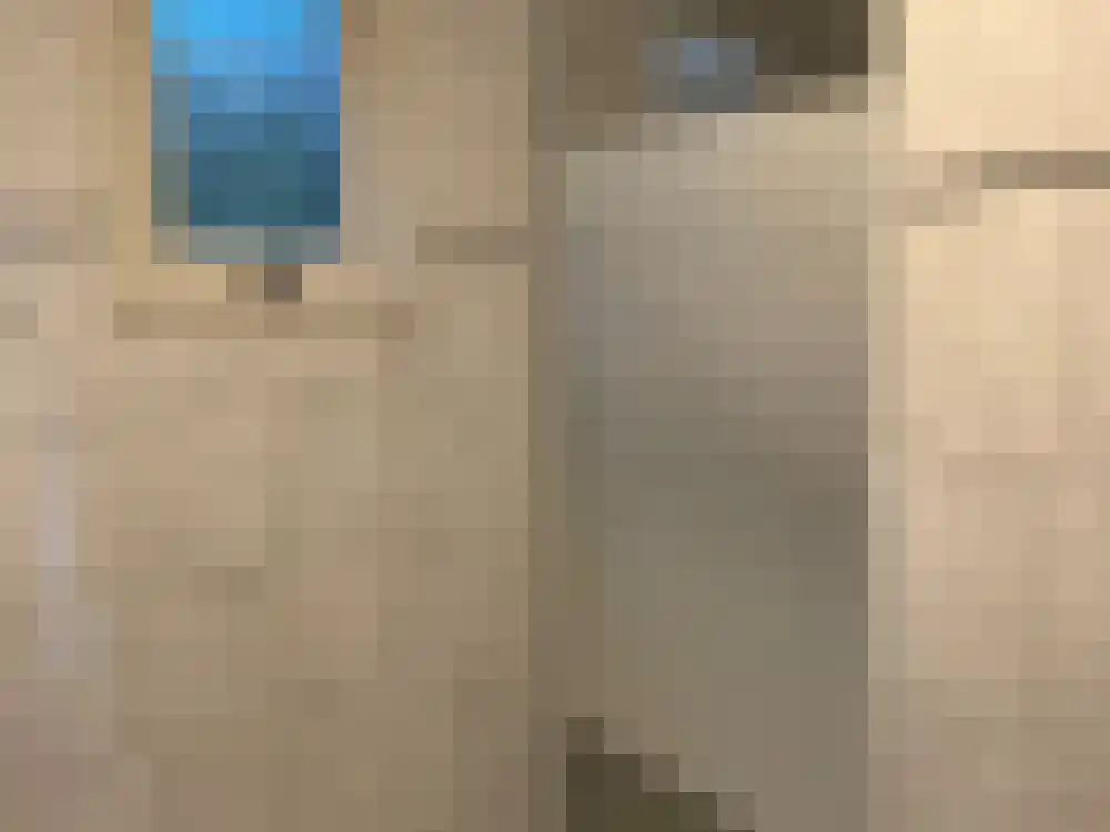 Ploegdijk 2 H347 Lochem thumbnail 11