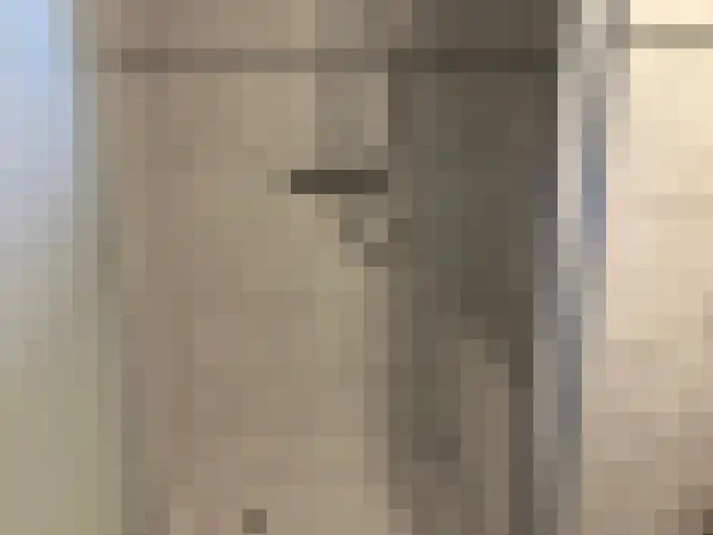 Ploegdijk 2 H347 Lochem thumbnail 12