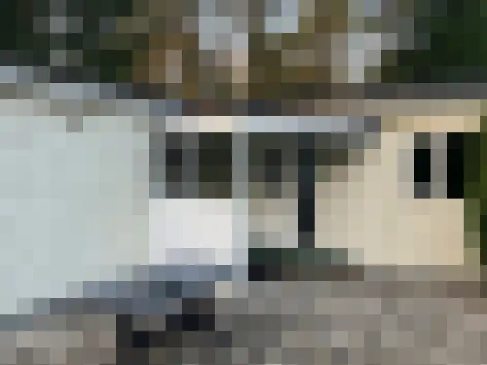 Ploegdijk 2 H347 Lochem thumbnail 17