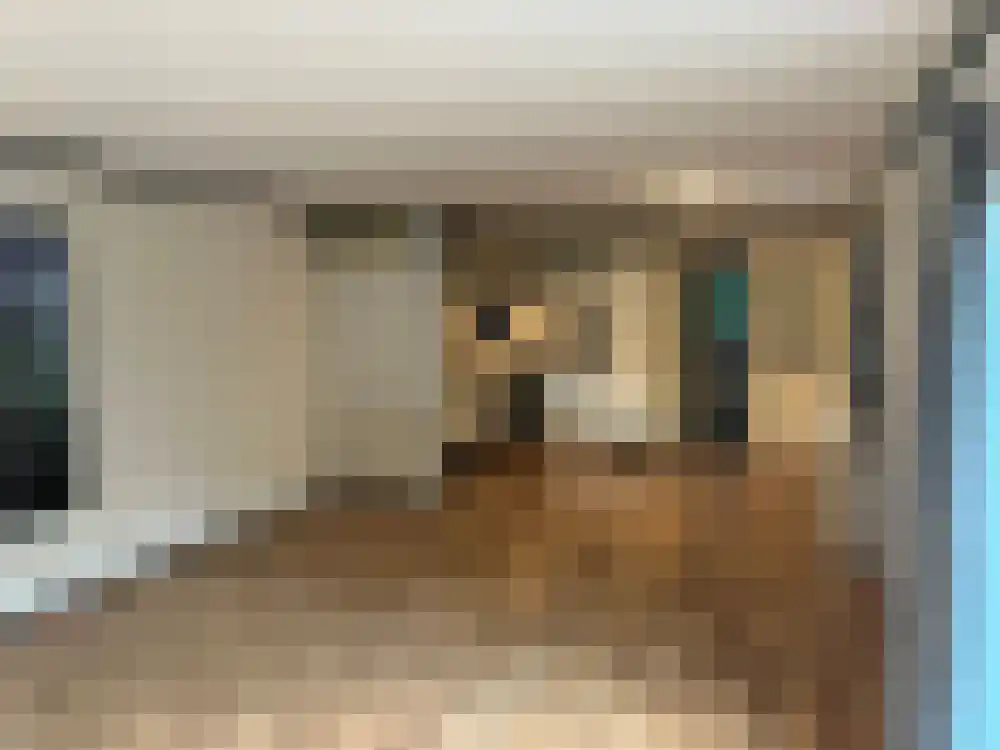 Ploegdijk 2 H347 Lochem thumbnail 5