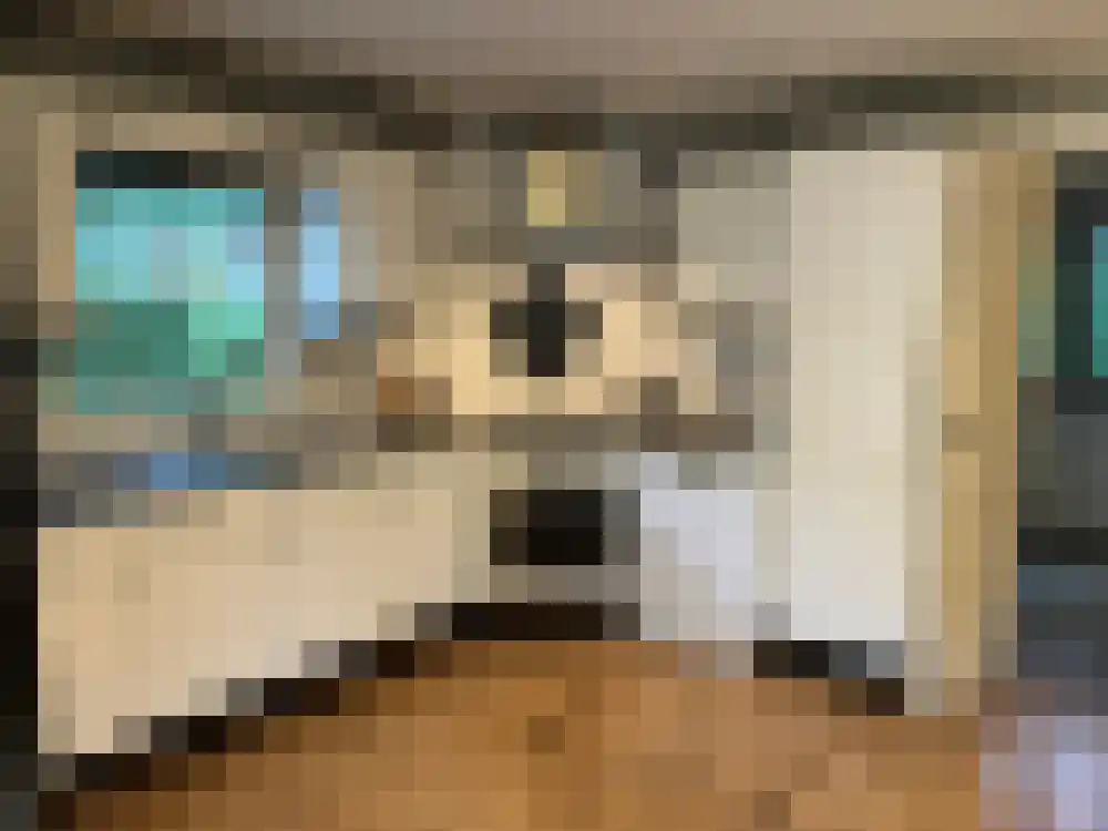 Ploegdijk 2 H347 Lochem thumbnail 6