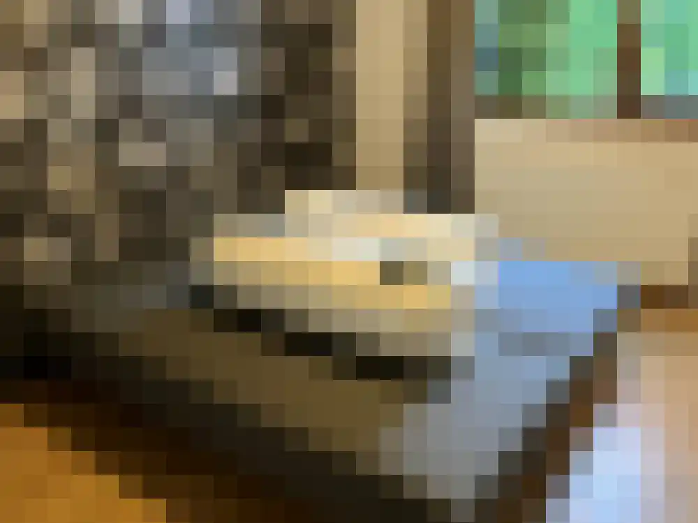 Ploegdijk 2 H347 Lochem thumbnail 8