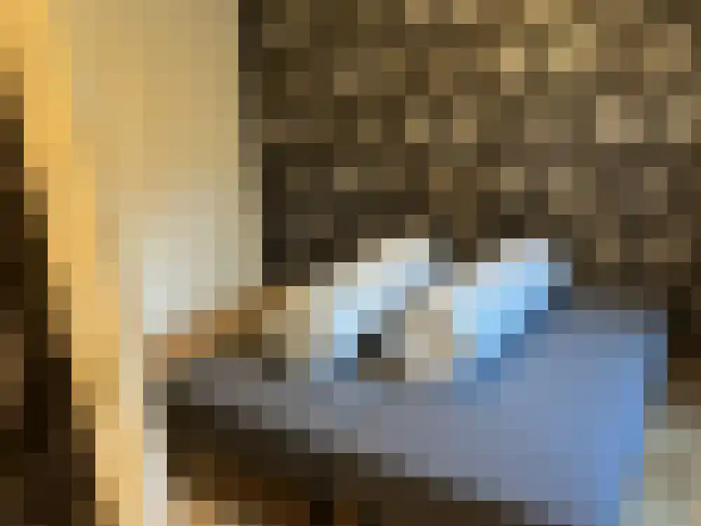 Ploegdijk 2 H347 Lochem thumbnail 9