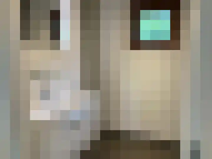 Ploegdijk 2 H351 Lochem thumbnail 12