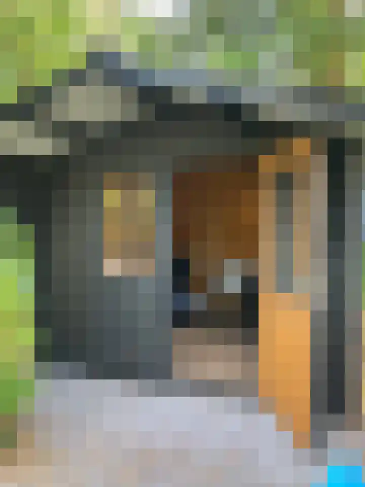 Ploegdijk 2 H351 Lochem thumbnail 18